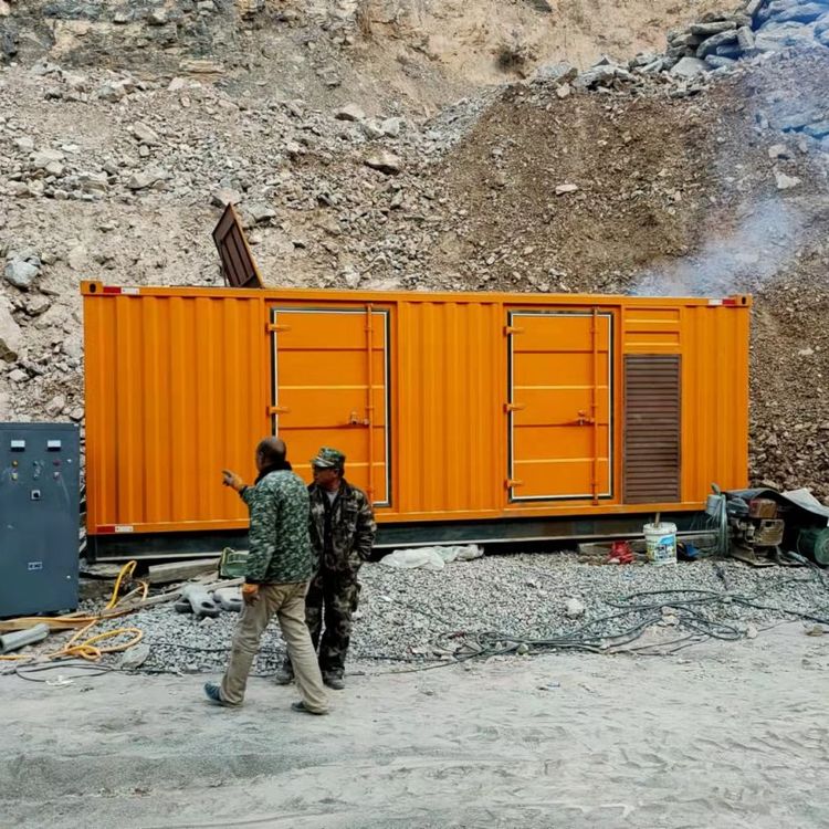 大安镇如何选择适合自己的 800KW 柴油发电机组？